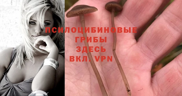альфа пвп Бугульма